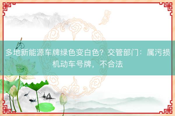 多地新能源车牌绿色变白色？交管部门：属污损机动车号牌，不合法