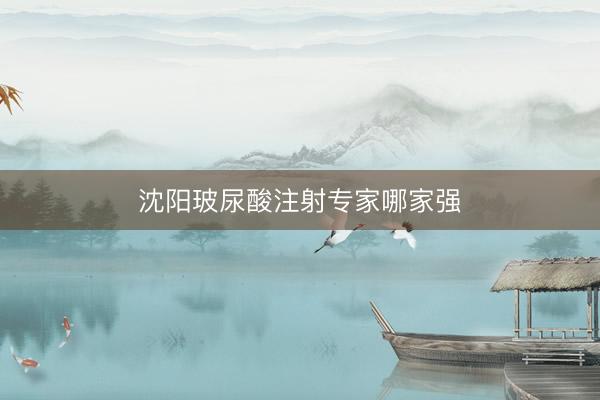 沈阳玻尿酸注射专家哪家强