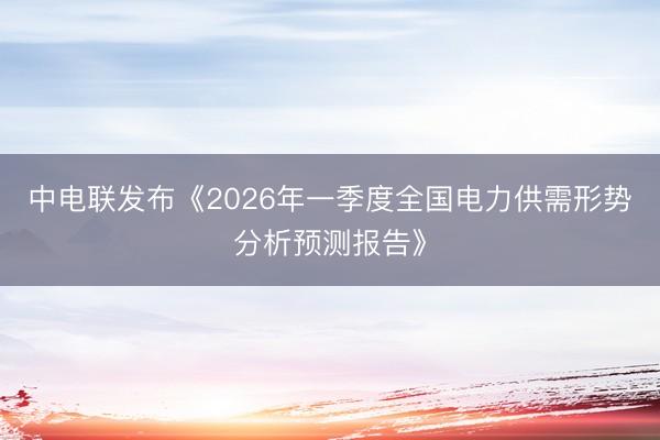 中电联发布《2026年一季度全国电力供需形势分析预测报告》