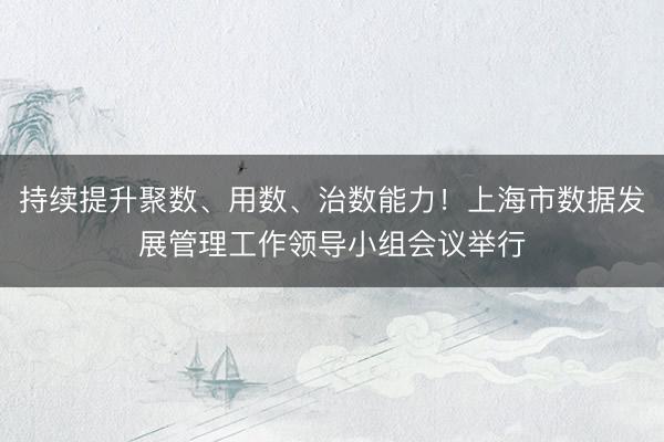 持续提升聚数、用数、治数能力！上海市数据发展管理工作领导小组会议举行