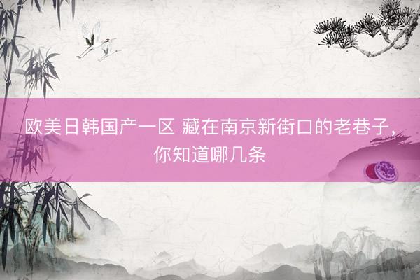欧美日韩国产一区 藏在南京新街口的老巷子，你知道哪几条