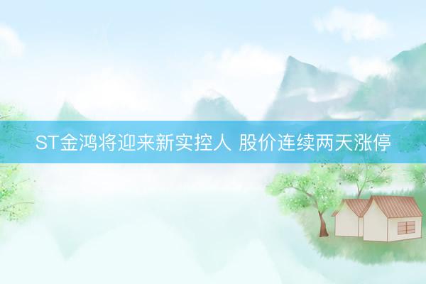 ST金鸿将迎来新实控人 股价连续两天涨停