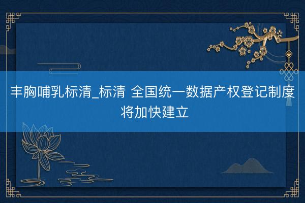 丰胸哺乳标清_标清 全国统一数据产权登记制度 将加快建立