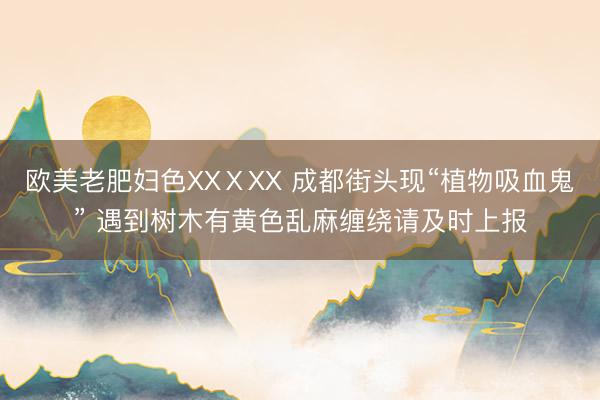 欧美老肥妇色XXⅩXX 成都街头现“植物吸血鬼” 遇到树木有黄色乱麻缠绕请及时上报