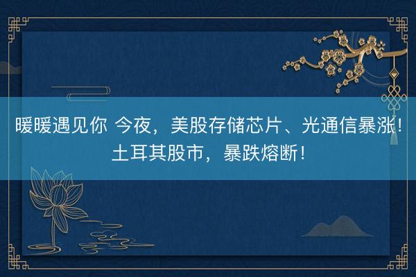 暖暖遇见你 今夜，美股存储芯片、光通信暴涨！土耳其股市，暴跌熔断！