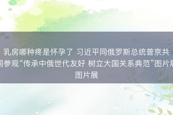 乳房哪种疼是怀孕了 习近平同俄罗斯总统普京共同参观“传承中俄世代友好 树立大国关系典范”图片展