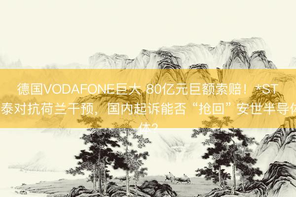 德国VODAFONE巨大 80亿元巨额索赔！*ST闻泰对抗荷兰干预，国内起诉能否 “抢回” 安世半导体？