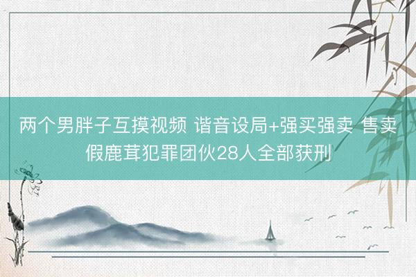两个男胖子互摸视频 谐音设局+强买强卖 售卖假鹿茸犯罪团伙28人全部获刑