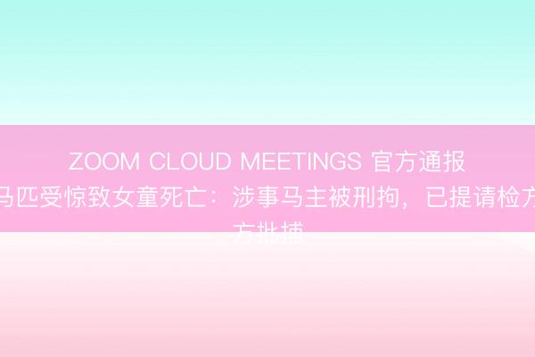 ZOOM CLOUD MEETINGS 官方通报小区马匹受惊致女童死亡：涉事马主被刑拘，已提请检方批捕