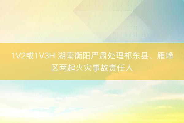 1V2或1V3H 湖南衡阳严肃处理祁东县、雁峰区两起火灾事故责任人