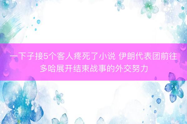 一下子接5个客人疼死了小说 伊朗代表团前往多哈展开结束战事的外交努力