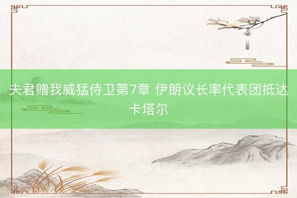 夫君赠我威猛侍卫第7章 伊朗议长率代表团抵达卡塔尔