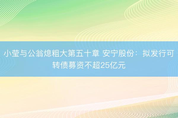 小莹与公翁熄粗大第五十章 安宁股份：拟发行可转债募资不超25亿元