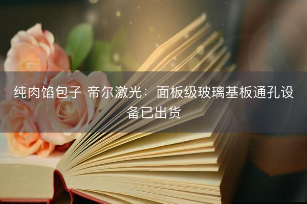 纯肉馅包子 帝尔激光：面板级玻璃基板通孔设备已出货
