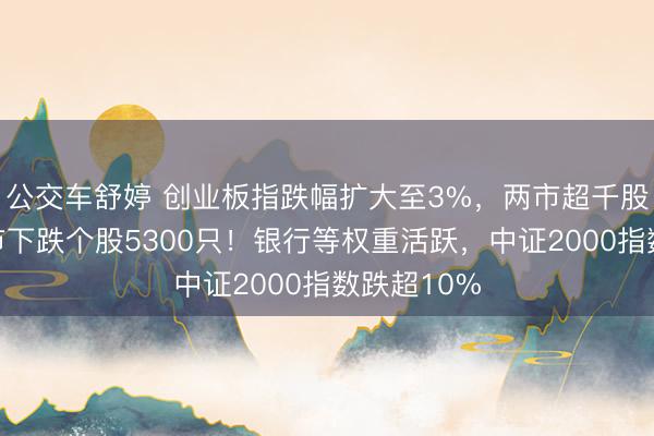 公交车舒婷 创业板指跌幅扩大至3%，两市超千股跌停，三市下跌个股5300只！银行等权重活跃，中证2000指数跌超10%