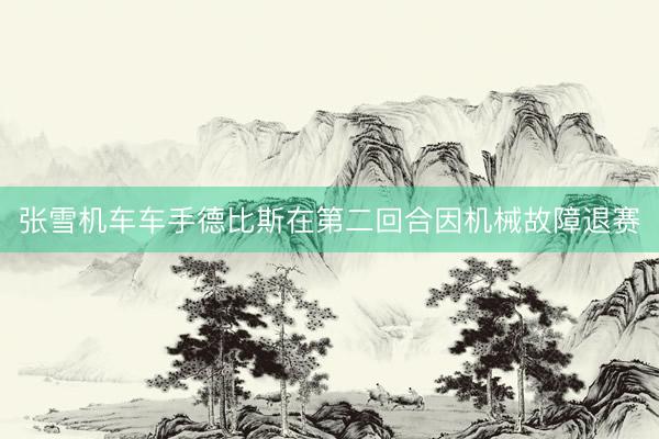 张雪机车车手德比斯在第二回合因机械故障退赛