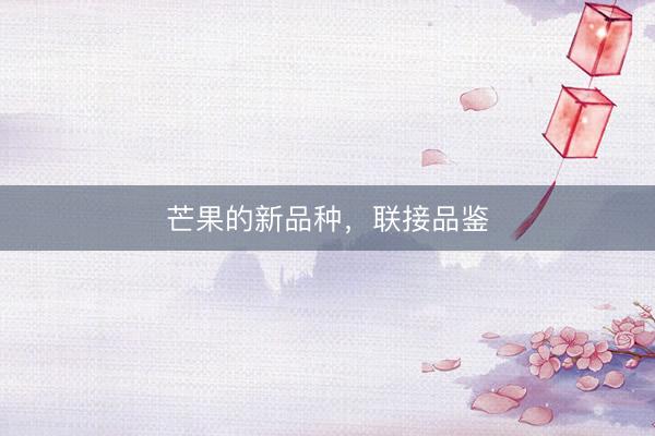 芒果的新品种，联接品鉴