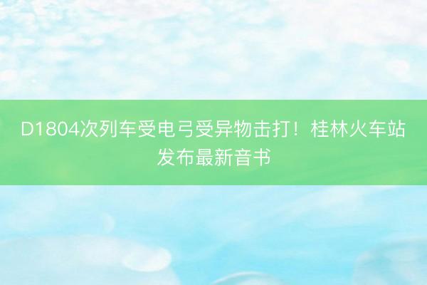 D1804次列车受电弓受异物击打！桂林火车站发布最新音书