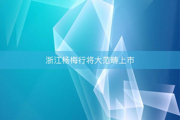 浙江杨梅行将大范畴上市