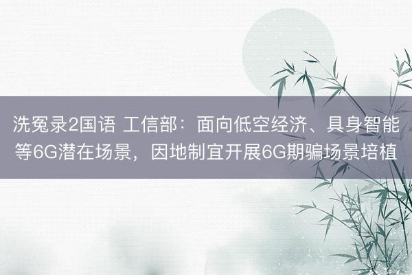 洗冤录2国语 工信部：面向低空经济、具身智能等6G潜在场景，因地制宜开展6G期骗场景培植