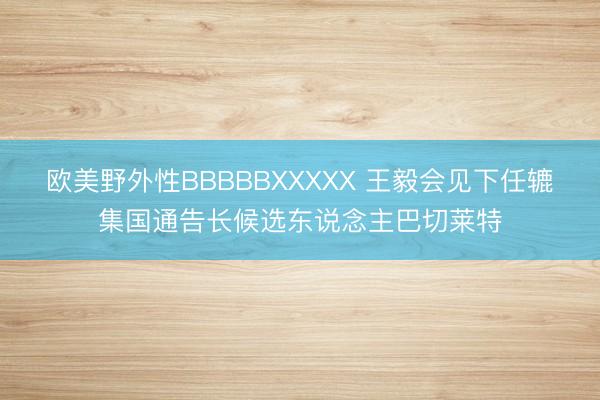 欧美野外性BBBBBXXXXX 王毅会见下任辘集国通告长候选东说念主巴切莱特