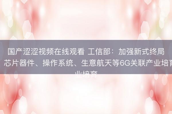 国产涩涩视频在线观看 工信部：加强新式终局、芯片器件、操作系统、生意航天等6G关联产业培育
