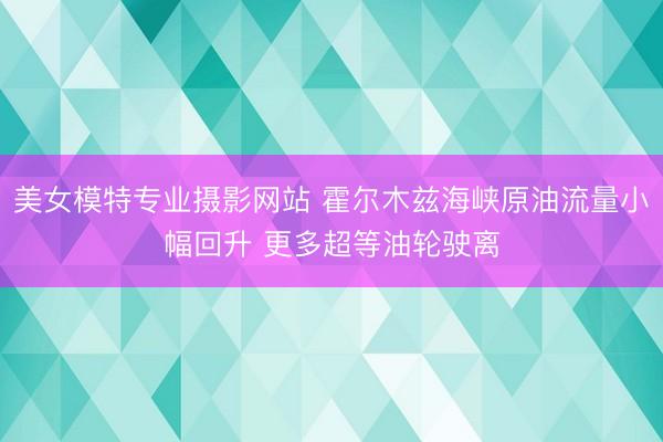 美女模特专业摄影网站 霍尔木兹海峡原油流量小幅回升 更多超等油轮驶离