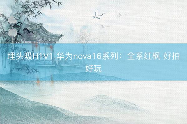 埋头吸H1V1 华为nova16系列：全系红枫 好拍好玩