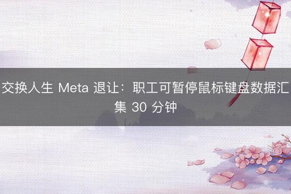 交换人生 Meta 退让：职工可暂停鼠标键盘数据汇集 30 分钟