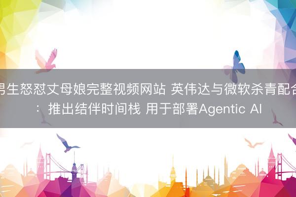 男生怒怼丈母娘完整视频网站 英伟达与微软杀青配合：推出结伴时间栈 用于部署Agentic AI
