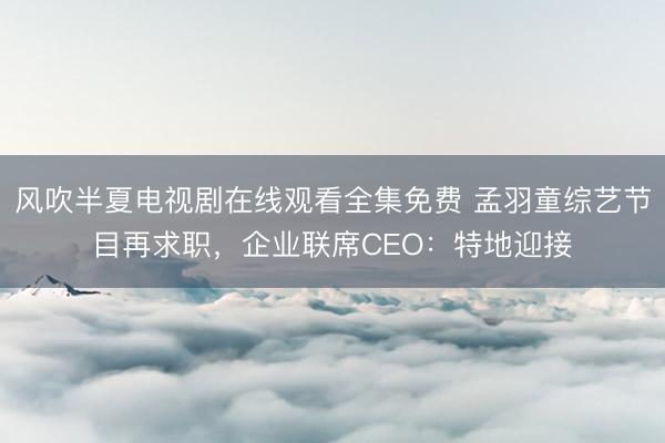 风吹半夏电视剧在线观看全集免费 孟羽童综艺节目再求职，企业联席CEO：特地迎接