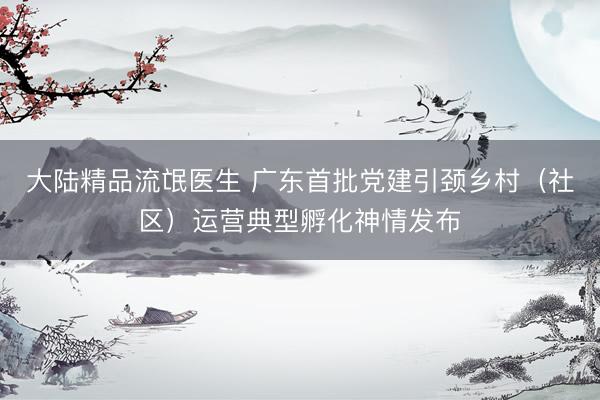 大陆精品流氓医生 广东首批党建引颈乡村(社区)运营典型孵化神情发布