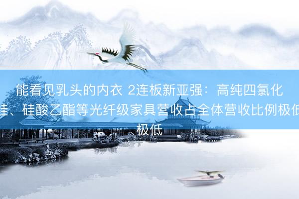 能看见乳头的内衣 2连板新亚强：高纯四氯化硅、硅酸乙酯等光纤级家具营收占全体营收比例极低