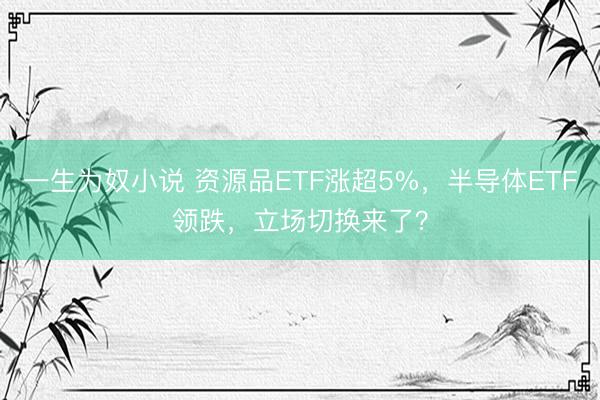 一生为奴小说 资源品ETF涨超5%，半导体ETF领跌，立场切换来了？