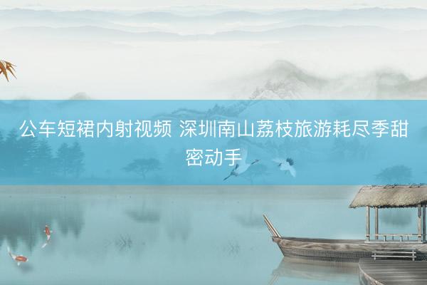 公车短裙内射视频 深圳南山荔枝旅游耗尽季甜密动手