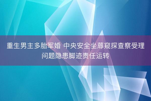 重生男主多胎军婚 中央安全坐蓐窥探查察受理问题隐患脚迹责任运转