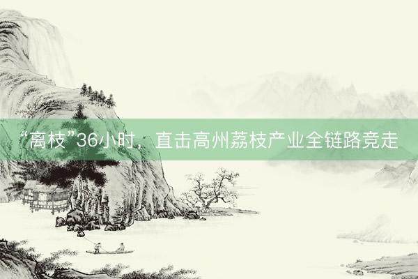 “离枝”36小时，直击高州荔枝产业全链路竞走