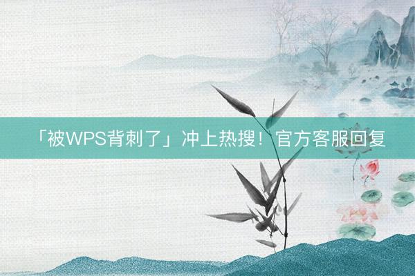 「被WPS背刺了」冲上热搜！官方客服回复